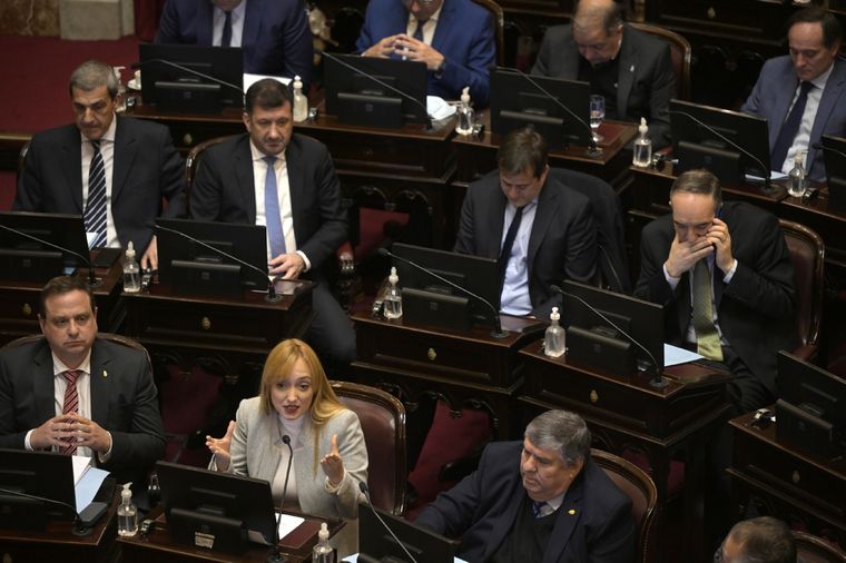 La sesión llevada cabo en el Senado este miércoles Foto: Télam