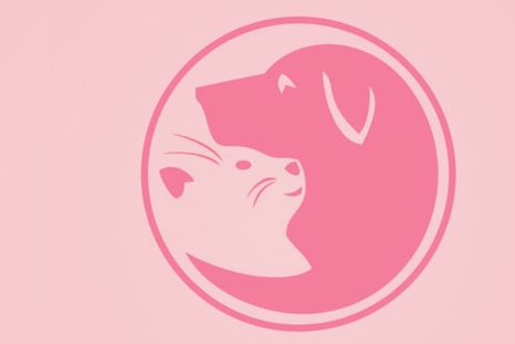 Test de personalidad