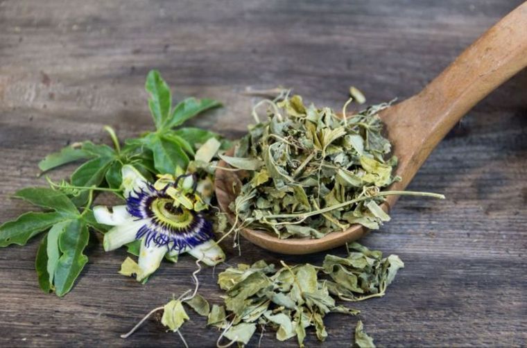 La pasiflora es una planta con diversos beneficios para el organismo Foto: Shutterstock