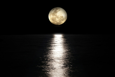 En esta nota está todo lo que tenés que saber de marzo a nivel astrológico Foto: Shutterstock