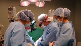 Mendoza está cuarta como la provincia con más donantes cada un millón de habitantes. Mendoza está cuarta como la provincia con más donantes cada un millón de habitantes.