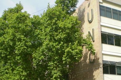 MDZol | Foto: Max Belaeff/Mediamza.com