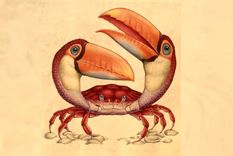 Test de personalidad