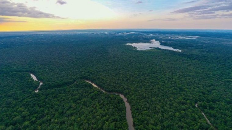 Greenpeace denuncia un aumento alarmante de la minería ilegal en la Amazonía brasileña.