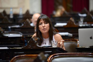 MDZol | La diputada nacional de la UCR, Pamela Verasay, en la Cámara de Diputados. Foto: X @PameVerasay