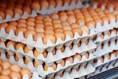 Récord de consumo de huevos en 2025