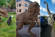 mira la nueva opcion de realidad virtual que lanzo google mira la nueva opcion de realidad virtual que lanzo google