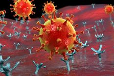 La infección viral depende de una sutileza química: la capacidad de las proteínas para unirse a otras moléculas, utilizando (principalmente) enlaces de hidrógeno. Foto: GETTY IMAGES