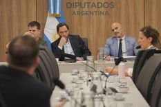 La comisión investigadora LIBRA presidida por el diputado nacional Maximiliano Ferraro.