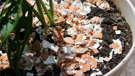 Este es un error muy común. Foto: Shutterstock Este es un error muy común. Foto: Shutterstock