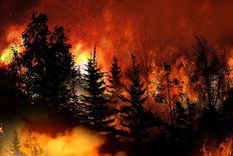 Cerca del 30% de los incendios forestales de California entre 1987 y 2020 fueron iniciados por rayos. Foto: GETTY IMAGES