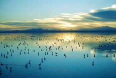 Foto: captura de video Foto: captura de video