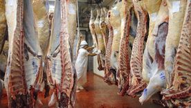 Exportación de cortes de carne. Foto: NA