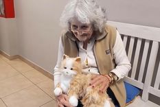 Las mascotas robot y la roboterapia son un paso hacia adelante para el tratamiento de personas con Alzheimer.