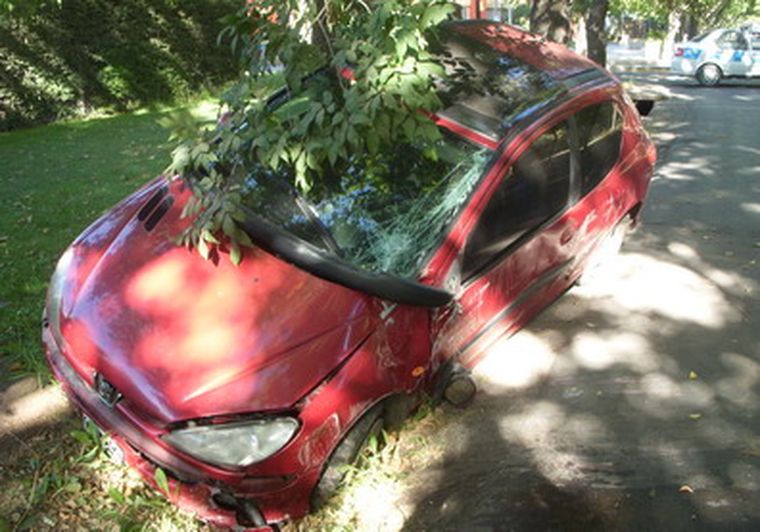 Así quedó uno de los vehículos. Foto: Mdz