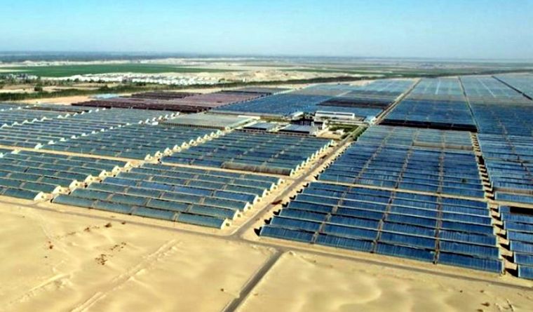 Invernaderos en el desierto e Hotan, al noroeste de China Foto: EFE