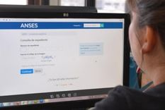 anses: ¿como saber cuando cobro?