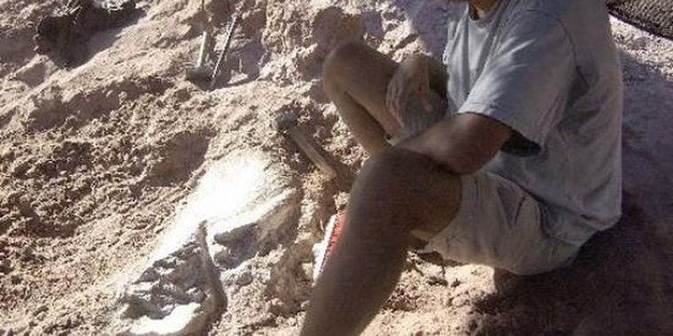 Foto: Diario Río Negro