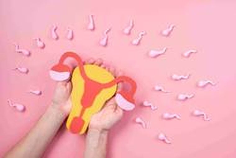 Cada junio se conmemora el Mes de la Fertilidad, una efeméride que hoy cobra más relevancia que nunca. Cada junio se conmemora el Mes de la Fertilidad, una efeméride que hoy cobra más relevancia que nunca.
