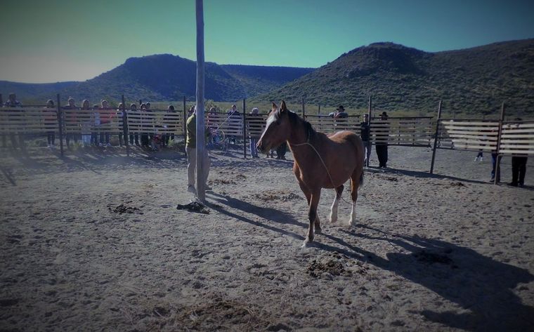 Foto: caballosequs.blogspot.com