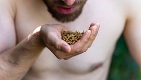 Gusanos Un sueño recurrente Foto: Fuente: Shutterstock Gusanos Un sueño recurrente Foto: Fuente: Shutterstock