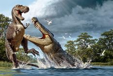 cocodrilo prehistorico: tenia dientes como bananas y comia dinosaurios