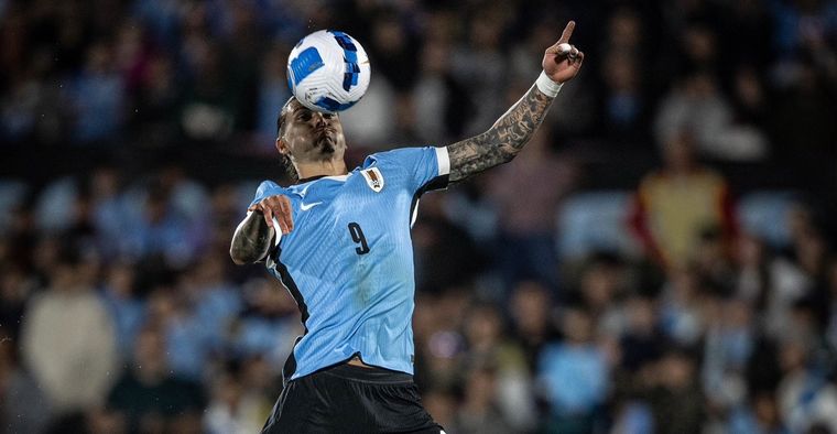 La Celeste juega ante su público en el Centenario. Foto: Uruguay