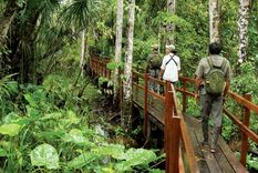 ¿que pasara con el turismo sustentable luego del covid-19?