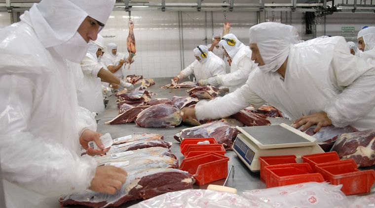 Crecen las exportaciones de carne Foto: NA