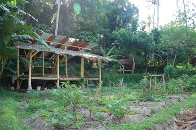 MDZol | Jardín botánico de una escuela Montessori Foto: Lola Arpa
