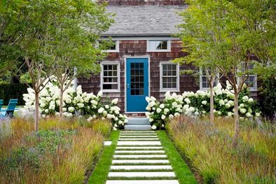 MDZol | Preparar la casa para la primavera consiste en como abordar en el hogar posibles fuentes de daños y molestias como consecuencia de lo que dejaron las estaciones frías. Foto: STEPHEN KENT JOHNSON/OTTO
