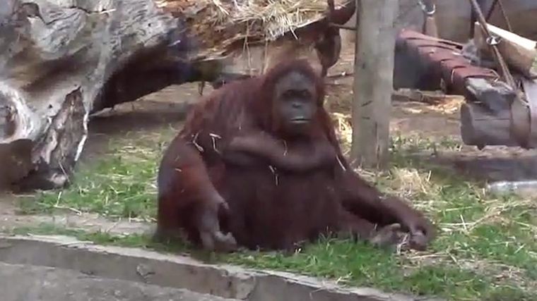 Foto: Ludmila Llaver