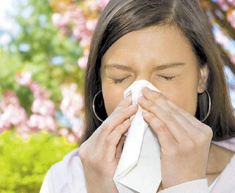 Foto: Noticias Argentinas DP