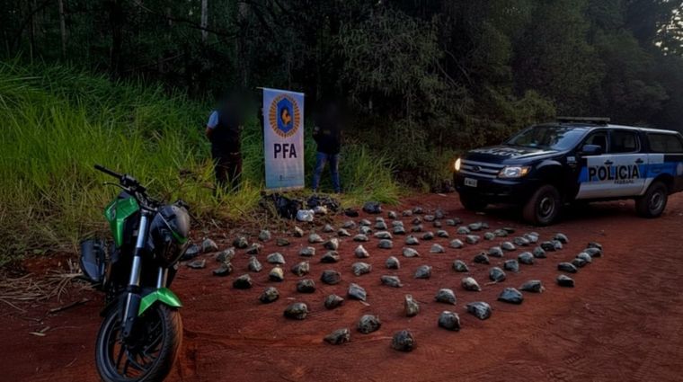 El opertativo, aplicado en Misiones, terminó con el secuestro de 71 kilos de droga y una moto robada en Buenos Aires.