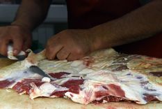 Foto: ALF PONCE MERCADO / MDZ