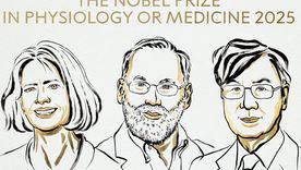 Los tres ganadores del Premio Nobel de Medicina 2025 anunciados por Suecia. Foto Asamblea Nobel