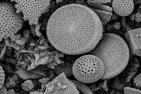 Materiales adsorbentes desarrollados a partir de la revalorización de residuos industriales. Materiales adsorbentes desarrollados a partir de la revalorización de residuos industriales.