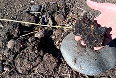 El agua contaminada que denunció la inspectora que ahora es candidata en Maipú.&nbsp;