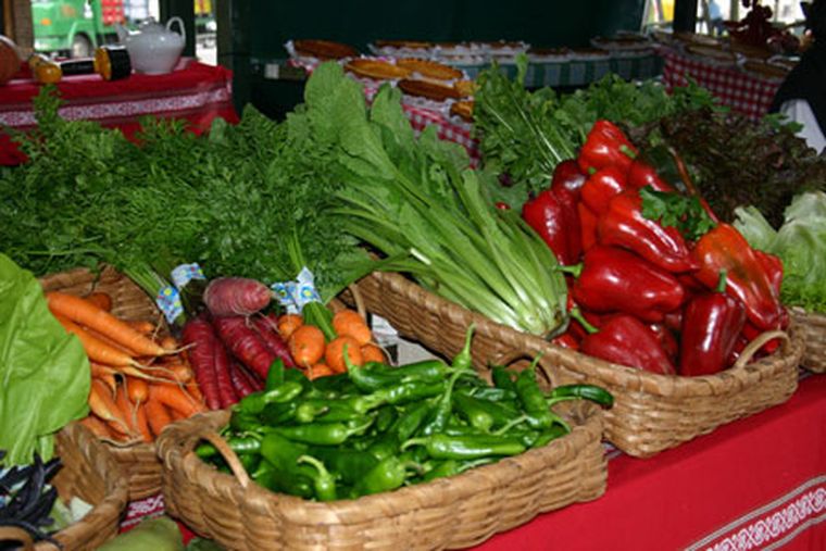 Agricultura familiar, tecnologia adecuada para un camino comercial