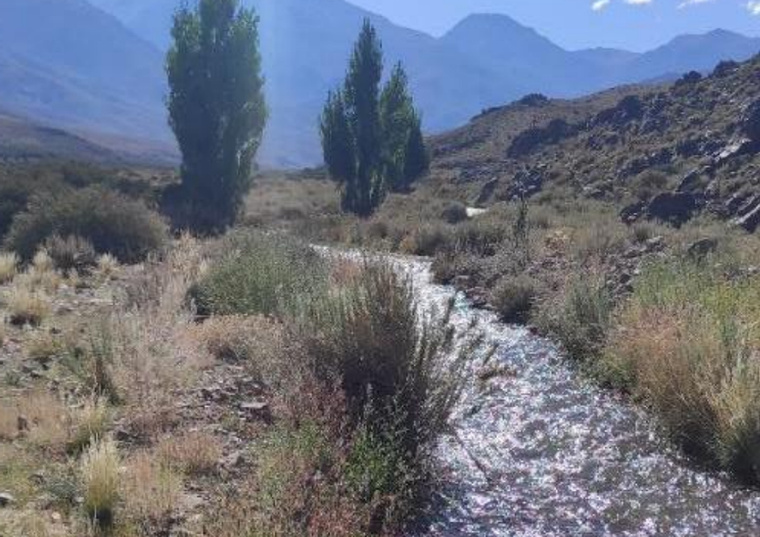 Arroyo El Tigre que atraviesa el Proyecto San Jorge.