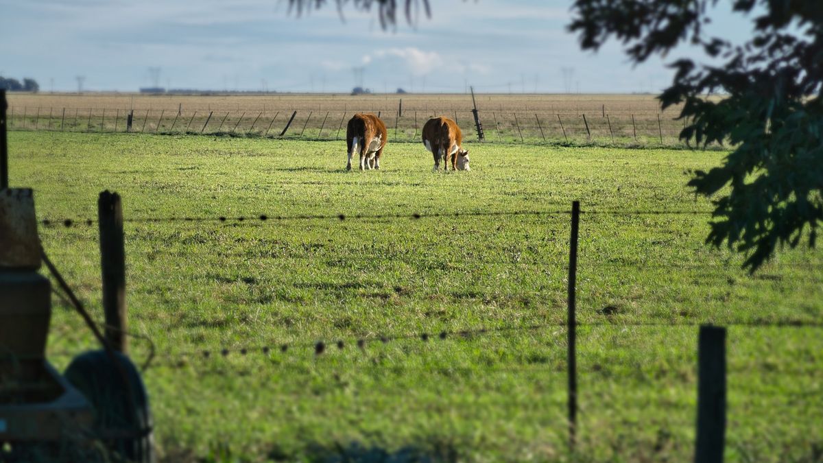 Este pueblo de Buenos Aires mezcla almacenes de campo, calle