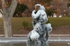 El país entero está bajo una ola polar sin precedentes. Foto: Alf Ponce Mercado/MDZ