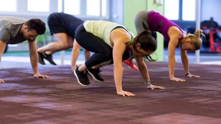 El músculo esquelético es un gran tejido, aproximadamente el 45% de nuestro peso corporal, y generalmente lo conocemos como el responsable de nuestro movimiento y sostén. Foto: MDZ