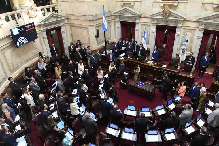El Senado se prepara para sesionar este miércoles Foto: NA