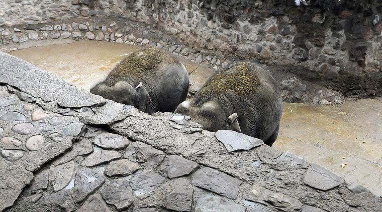 Foto: Alf Ponce / MDZ