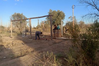 MDZol | Foto: Gentileza