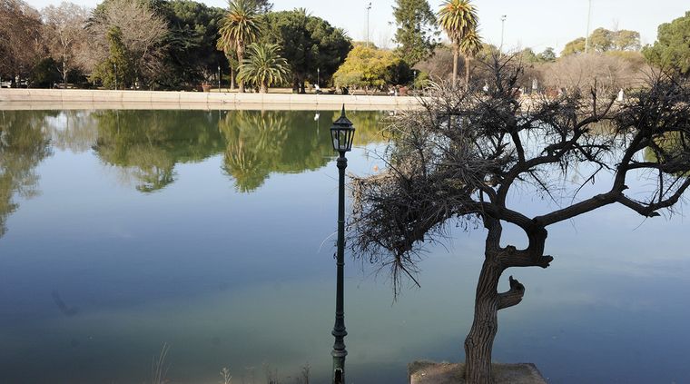 Foto: Alf Ponce / MDZ