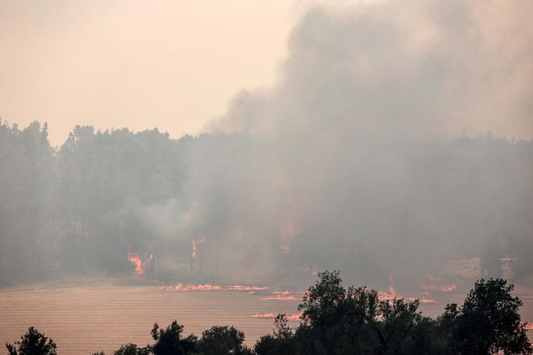 Máxima tensión por los incendios en Israel Foto: EFE