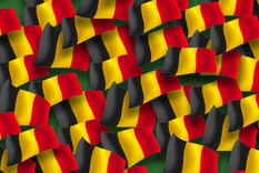 ENIGMA VISUAL ENIGMA VISUAL. RETO VISUAL, BANDERA Foto: MDZ ONLINE