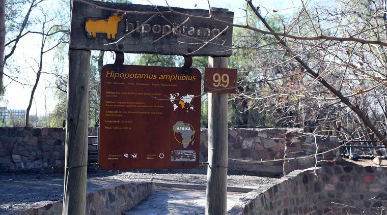 El Ecoparque se encuentra cerrado desde hace 8 años Foto: ALF PONCE MERCADO / MDZ